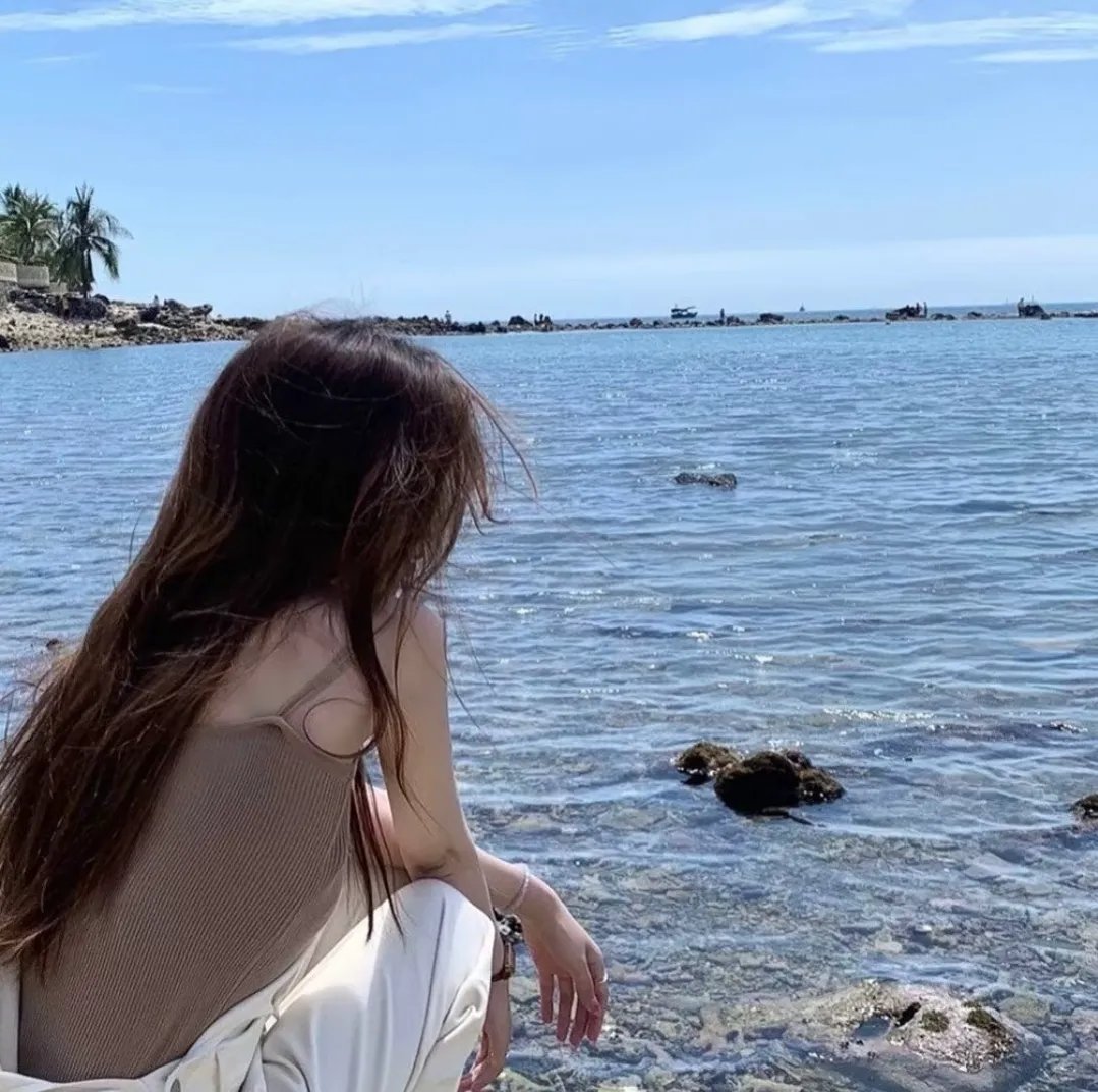《卡农》封面